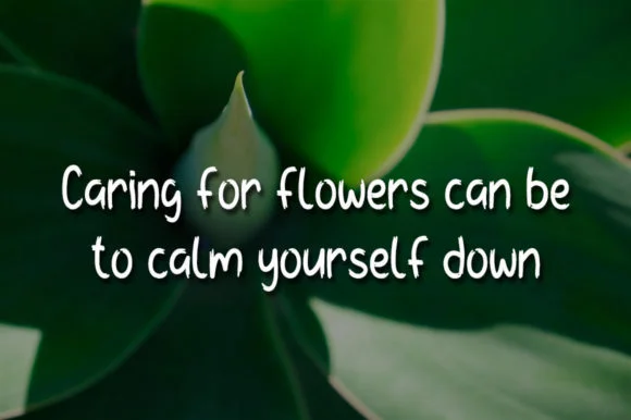 Green Flower Font by morningtimestudio — Script Handwritten Font — thumbnail 2