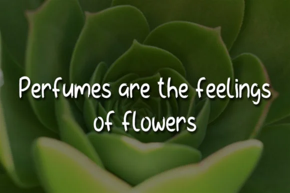 Green Flower Font by morningtimestudio — Script Handwritten Font — thumbnail 4