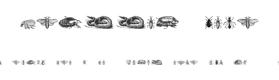 Grissom Four by Intellecta Design — Dingbats Font