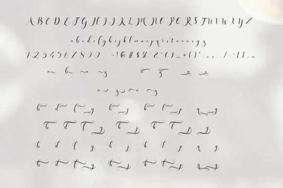 Haleigh Script Font by Amarlettering — Script Handwritten Font — thumbnail 7