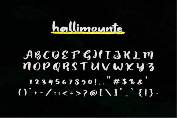 Hallimounte Font by Hanna Bie — Script Handwritten Font — thumbnail 3