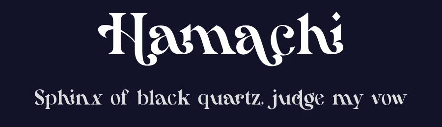 Hamachi by 177Studio — Sans Serif Font — thumbnail 2