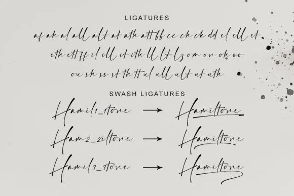Hamiltone Signature Font by lemonthe — Script Handwritten Font — thumbnail 8