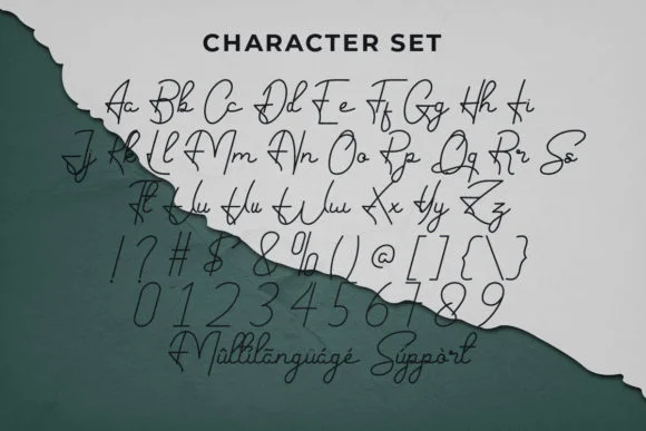 Hand Signature Font by RaisProject — Script Handwritten Font — thumbnail 3