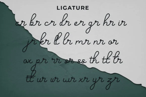 Hand Signature Font by RaisProject — Script Handwritten Font — thumbnail 5
