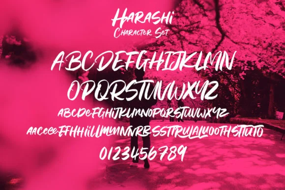Harashi Font by Maulana Creative — Script Handwritten Font — thumbnail 9