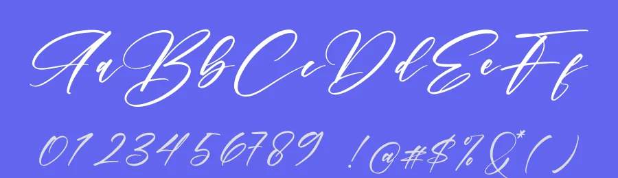 Hardiness Fonte by Letterena Studios — Script Handwritten Font — thumbnail 3