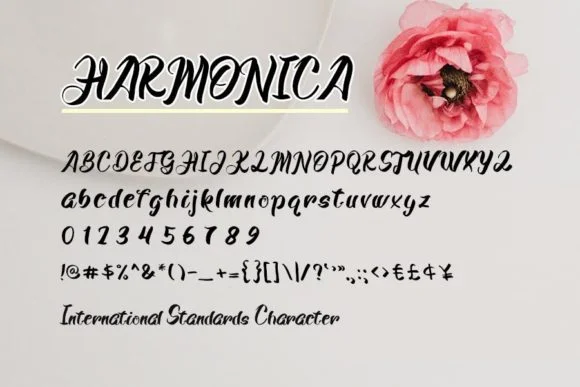Harmonica Font by shiddiq.art by shiddiq.art — Script Handwritten Font — thumbnail 4