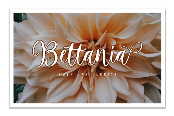 Harmony Family Font by MJB Letters — Script Handwritten Font — thumbnail 3