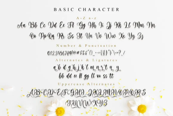 Harmony Family Font by MJB Letters — Script Handwritten Font — thumbnail 8