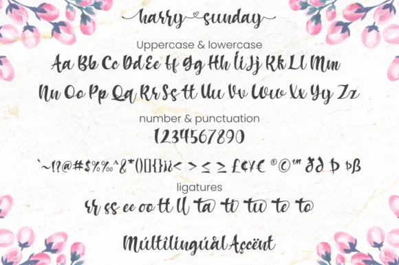 Harry Sunday Font by attypestudio — Script Handwritten Font — thumbnail 7