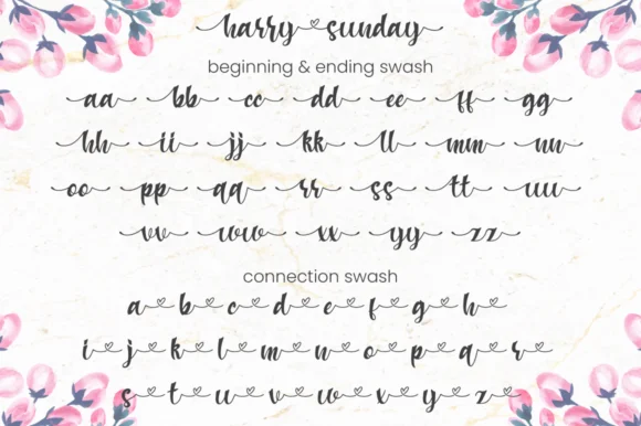Harry Sunday Font by attypestudio — Script Handwritten Font — thumbnail 8