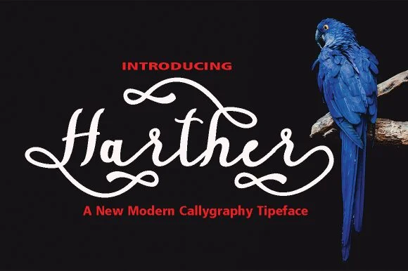 Harther Font by AsaharStudio — Script Handwritten Font