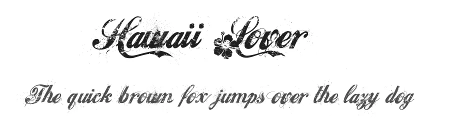 Hawaii Lover