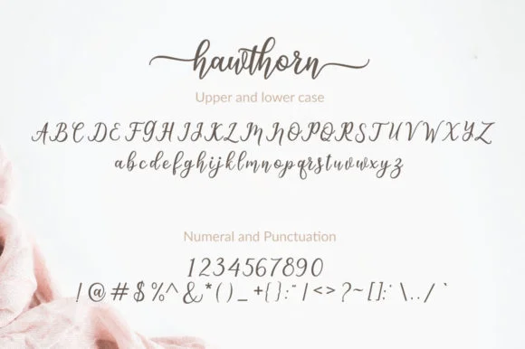 Hawthorn Font by Amarlettering — Script Handwritten Font — thumbnail 4