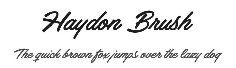 Haydon Brush