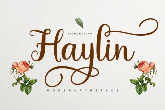 Haylin Script Font by ajibatype — Script Handwritten Font
