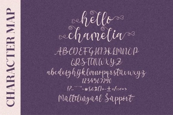 Hello Chamelia Font by Letterena Studios — Script Handwritten Font — thumbnail 2