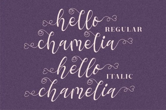 Hello Chamelia Font by Letterena Studios — Script Handwritten Font — thumbnail 4