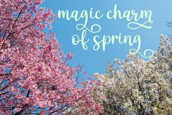 Hello Sakura Font by Pasha Larin — Serif Font — thumbnail 6