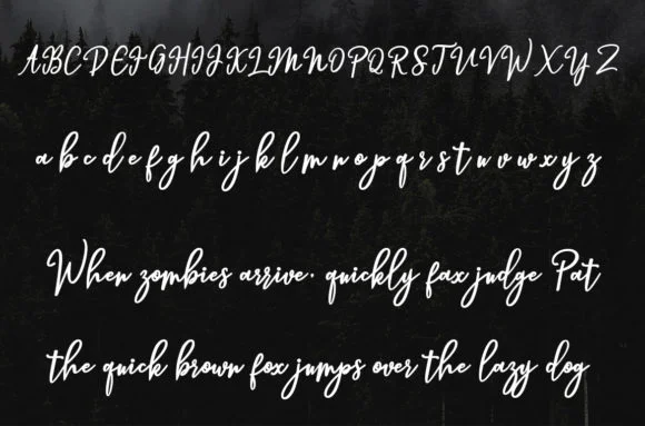 Hendryan Script Font by Amarlettering — Script Handwritten Font — thumbnail 4