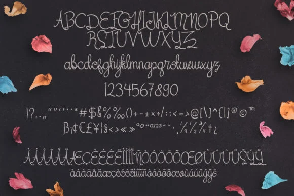 Her Garden Font by Mojibam — Script Handwritten Font — thumbnail 6
