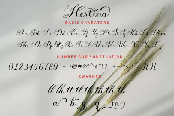 Herlina Font by Anaya Studio — Script Handwritten Font — thumbnail 4
