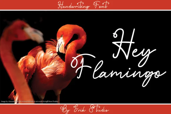 Hey Flamingo Font by erik studio — Script Handwritten Font