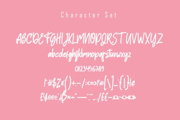 Hisstories Font by Skiiller Studio — Script Handwritten Font — thumbnail 6