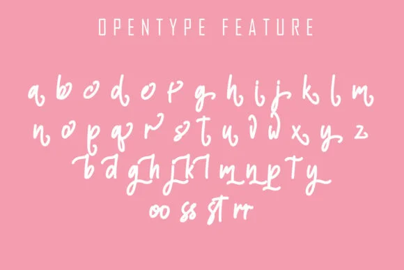 Hisstories Font by Skiiller Studio — Script Handwritten Font — thumbnail 7