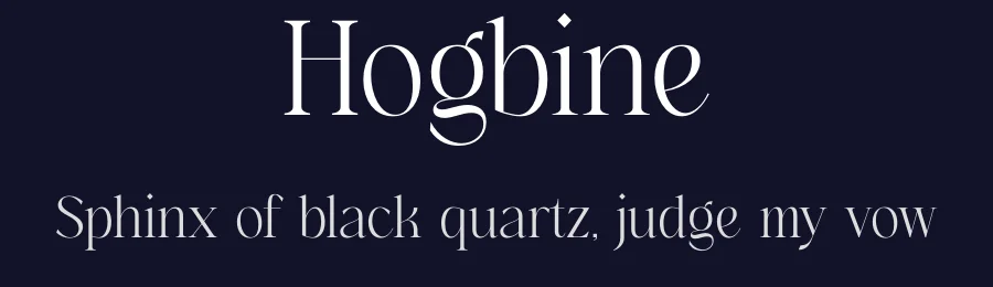 Hogbine by Storytype Studio — Serif Font — thumbnail 2