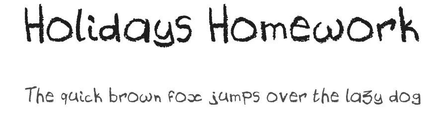 Holidays Homework