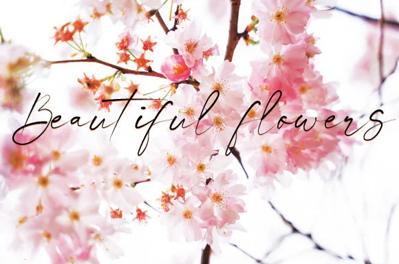 Honeymoon Font by Dedi Art Studio by Dedi Art Studio — Script Handwritten Font — thumbnail 2