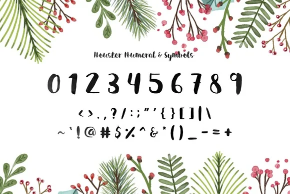 Houster Font by Graphicfresh — Script Handwritten Font — thumbnail 3