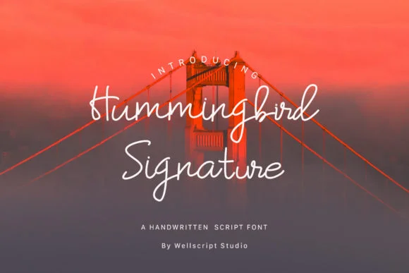 Hummingbird Font by wellscriptstudio by wellscriptstudio — Script Handwritten Font