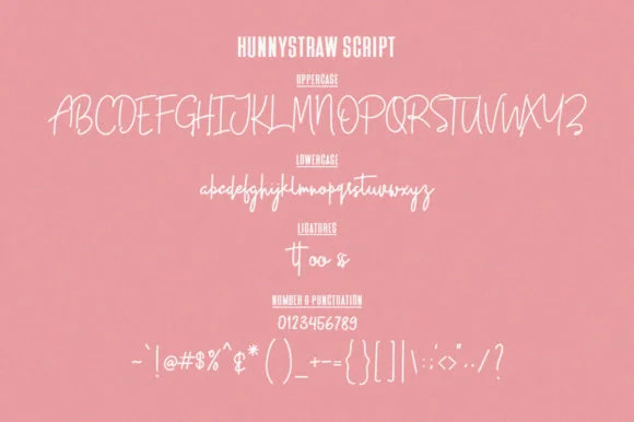 Hunny Straw Font by Maulana Creative — Script Handwritten Font — thumbnail 9