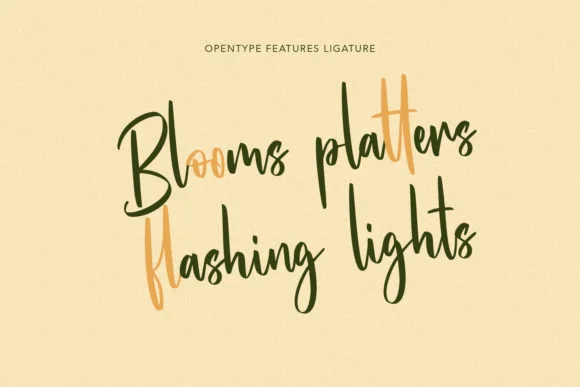 Hunnyflash Font by Maulana Creative — Script Handwritten Font — thumbnail 6
