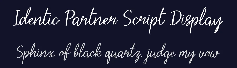 Identic Partner Script Display by Denustudios — Script Handwritten Font — thumbnail 2