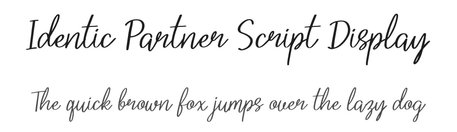 Identic Partner Script Display by Denustudios — Script Handwritten Font