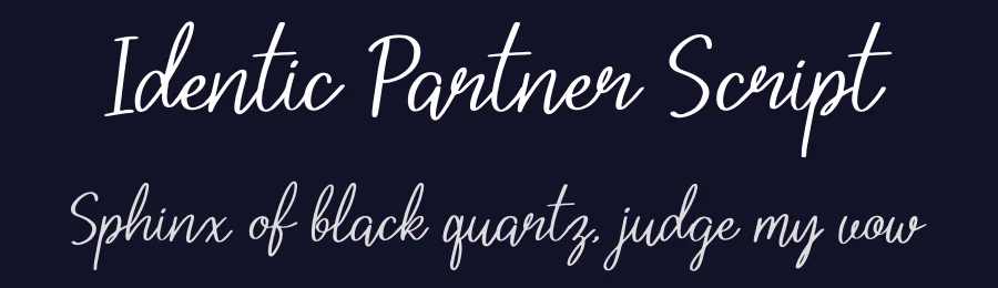 Identic Partner Script by Denustudios — Script Handwritten Font — thumbnail 2
