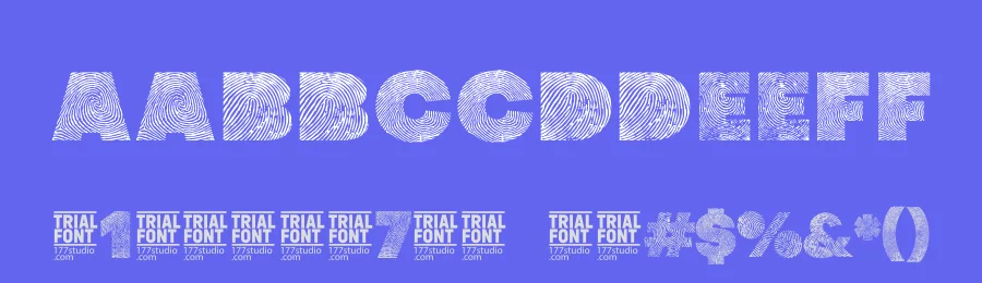 Identify by 177Studio — Decorative Font — thumbnail 3
