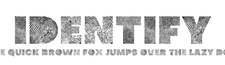 Identify by 177Studio — Decorative Font