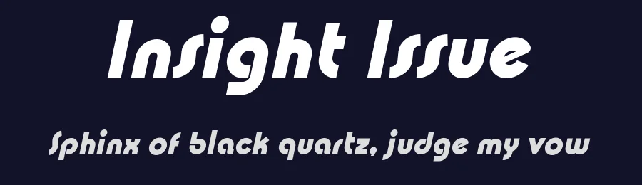 Insight Issue by Galdino Otten Fonts — Sans Serif Font — thumbnail 2