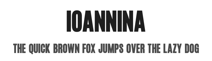 Ioannina by Shanaya Studio β Sans Serif Font
