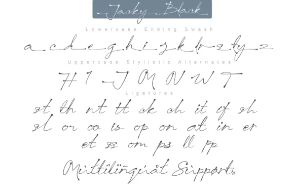 Jacky Black Font by DLetters.std — Script Handwritten Font — thumbnail 9