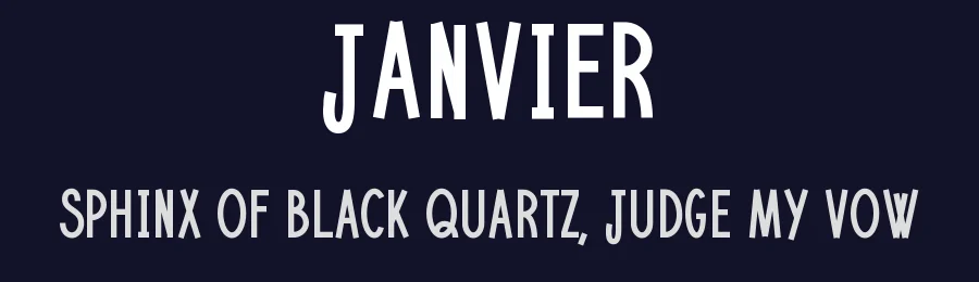 Janvier by Federico Antonini — Decorative Font — thumbnail 2