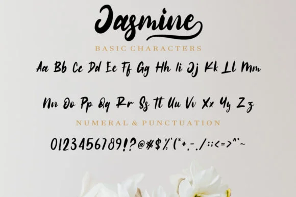 Jasmine Font by fanastudio by fanastudio — Script Handwritten Font — thumbnail 8