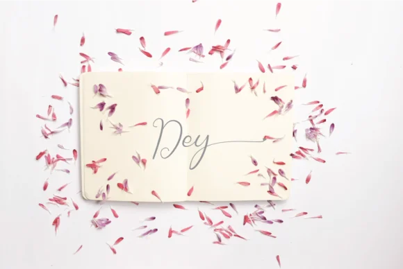 Jelia Elbern Font by Muksal Creative — Script Handwritten Font — thumbnail 3