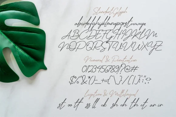 Jhenyta Signature Font by pradiptacreative — Script Handwritten Font — thumbnail 5