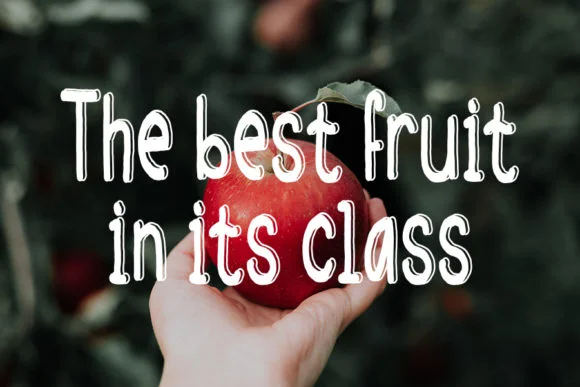 Juice Apple Font by FL Space — Wedding Font — thumbnail 3
